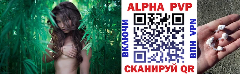  Cocaine Карасук