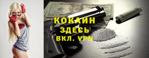 ешки Алексин