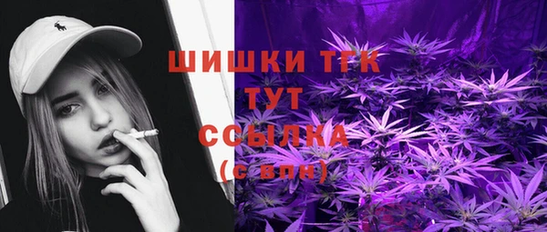 соль ск Алзамай
